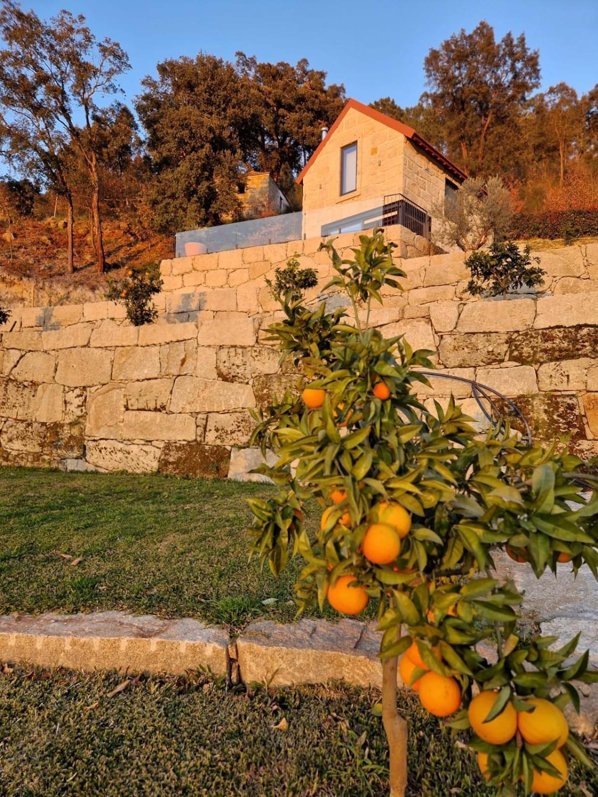 Javardo - Family House - Douro Penha Longa Exterior photo